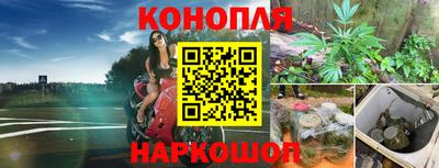 прущая мука Донской
